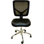 Dental Lab Chairs