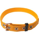 Positioning Belts