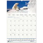 Wall Calendars