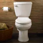 Two-Piece Toilets With Everclean Surface
