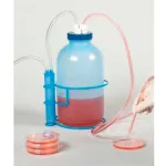 Cell/Tissue Culture