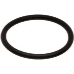 Neoprene O-Rings