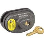 Gun and Trigger Locks