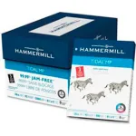 Perforated & Hole Punched Paper