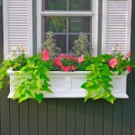 Window Boxes & Deck Planters
