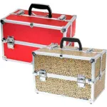 Makeup Cases