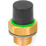 Brass Breather Valves w/ Plastic Cap