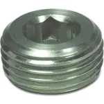 Threaded Plugs w / Tapered Thread