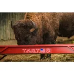 Cattle Feeders
