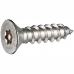 Tamper-Proof Security Sheet Metal Screws