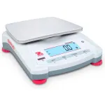Portable Balances