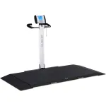 Stretcher Scales