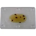 Bed Bug Monitors