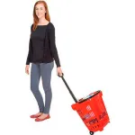Rolling Shopping Carts