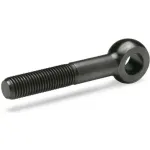 Swing Bolt