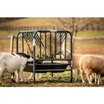 Small Animal Feeders