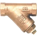 Wye Strainers