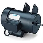 Leeson, 1-Ph, TEFC, Delta Unisaw Mounting