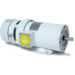 Leeson Washguard White Epoxy Brake Motor 3PH