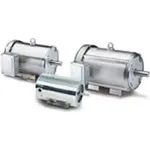 Leeson Washguard SS 1PH Motor