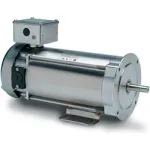 Leeson DC Motors, Washdown, SS