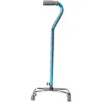 Walking Canes and Walking Sticks