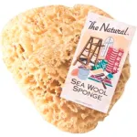 Natural Sea Wool & Yellow Painting Sponges