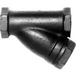 Y Strainers