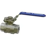 BI-TORQ® 2-Piece Manual SS NPT Ball Valves 