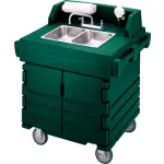 Portable Washing Station and Carts