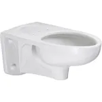 Flushometer Elongated Toilets
