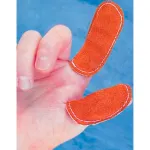 Scratch Guards