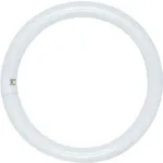 Circline Fluorescent Bulbs