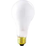 A21 Incandescent Lamps