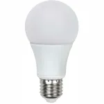 LED A21, A19 & A15 Lamps