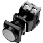ACI 22mm Pilot Lights