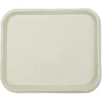 Disposable Food & Serving Trays