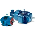3-Ph Inverter Duty Motors