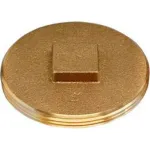 Cleanout Covers and Plugs