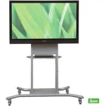 Flat Panel Floor Stands
