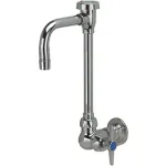 Side & Wall Mount Gooseneck Laboratory Faucets