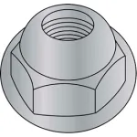 Hex Acorn Nut