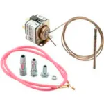 Mercury Flame Sensors