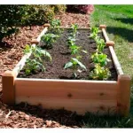 STC Raised Garden Beds