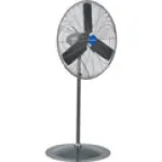 Pedestal Fans