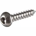 Trilobular Head