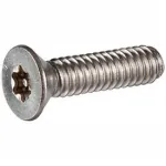 Flat Head Torx Plus Drive Security Machine Screws