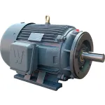 WWE Severe Duty Motors