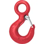 Eye Hooks with Latch