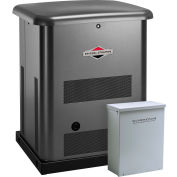 Briggs & Stratton®, 10kW Standby Generator, 100 Amp Symphony II Switch, 40449